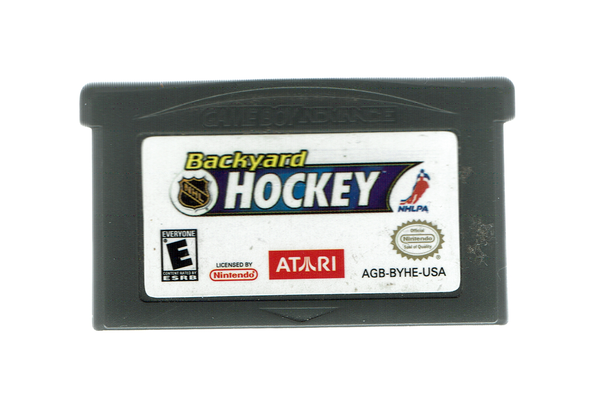 Backyard Hockey Backyard Hockey